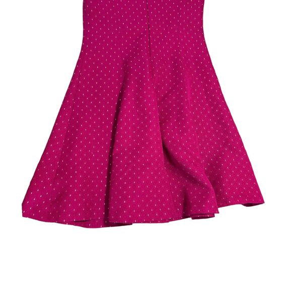 AMERICAN LIVING Women Fuchsia Silver Sleeveless Fit and Flare A-line Dress Sz 6 - Picture 8 of 15